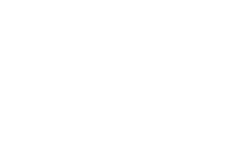BI-FASH